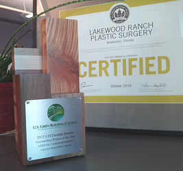 plastic surgery award